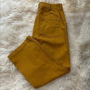 Outerknown Field Pant